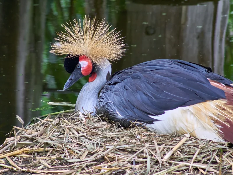 2023-09-01  ZOO-LE._9011601.jpg