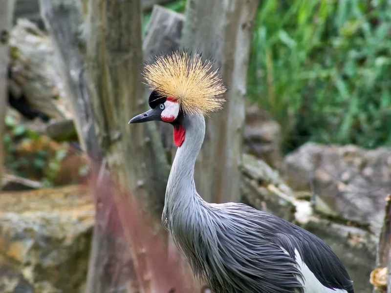 2023-09-01  ZOO-LE._9011629.jpg