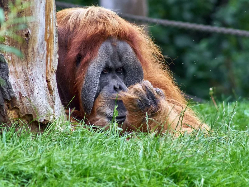 2023-09-01  ZOO-LE._9011779.jpg