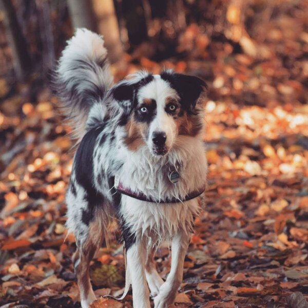 FB_IMG_1605594094922.jpg FB_IMG_1605594094922.jpg