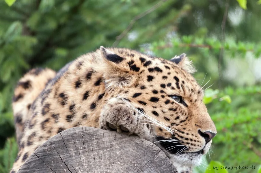 00515__3000964.webp