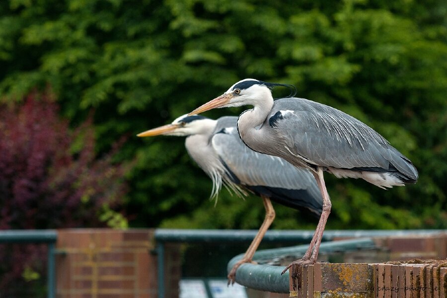 00787__3003590.jpg 00787__3003590.jpg