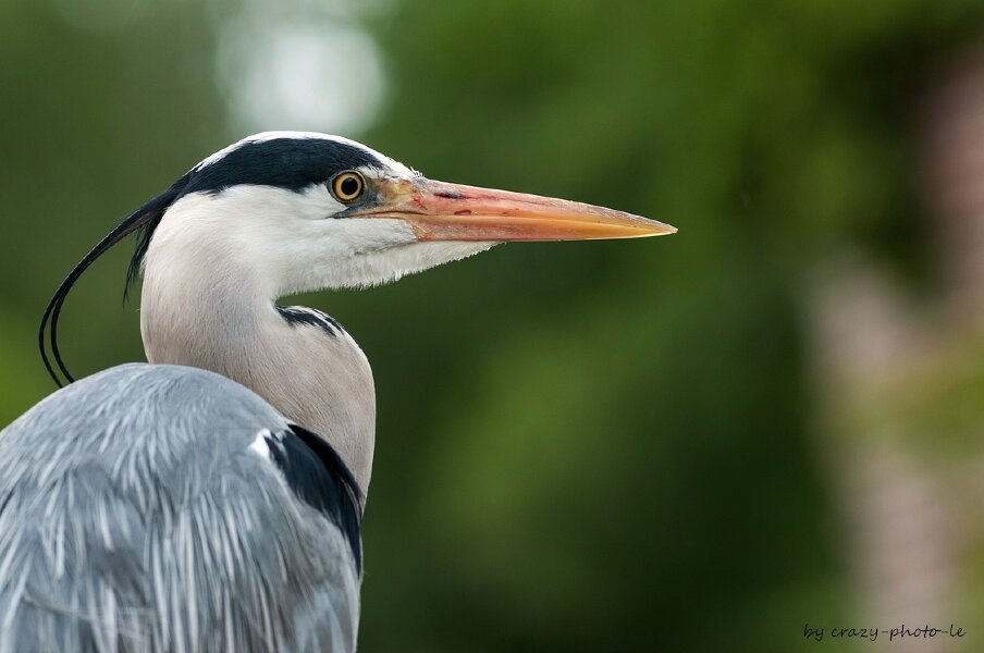 00797__3003726.jpg 00797__3003726.jpg