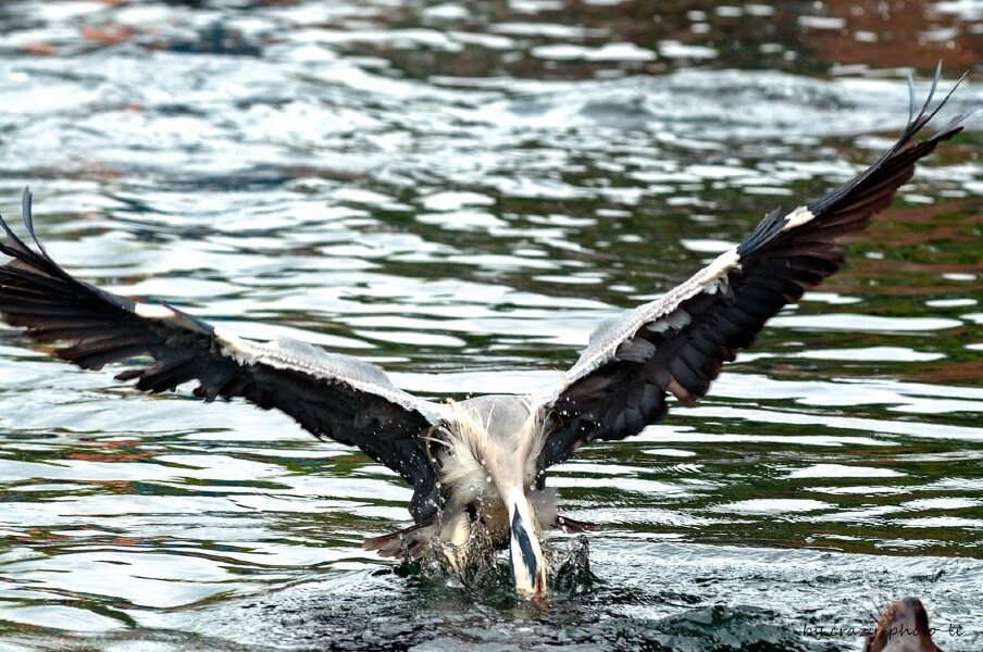 00788__3003608.jpg 00788__3003608.jpg