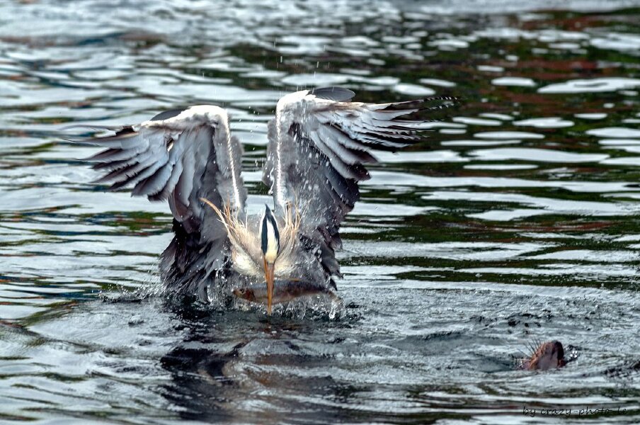 00789__3003609.jpg 00789__3003609.jpg