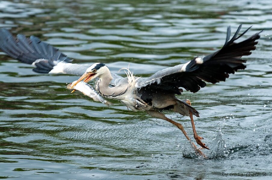 00790__3003616.jpg 00790__3003616.jpg