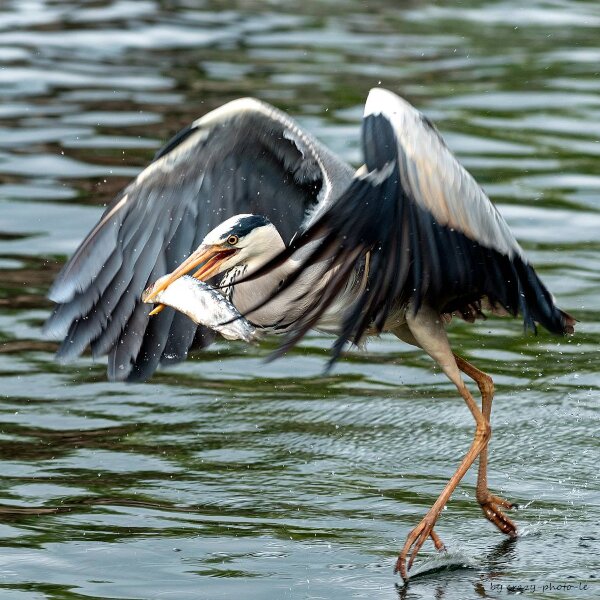 00791__3003617.jpg 00791__3003617.jpg