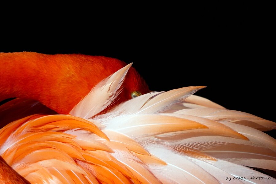 00033__MG_5419.jpg 00033__MG_5419.jpg