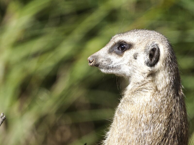 2023-09-30_ZOO-LEIPZIGFile095.jpg 2023-09-30_ZOO-LEIPZIGFile095.jpg
