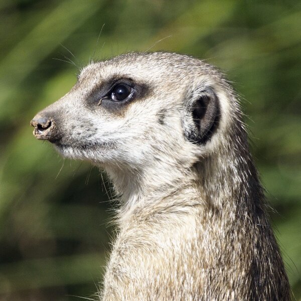 2023-09-30_ZOO-LEIPZIGFile104.jpg 2023-09-30_ZOO-LEIPZIGFile104.jpg