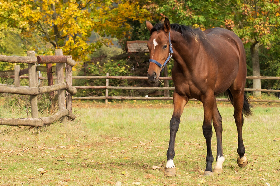 ci_A7408187-2.jpg