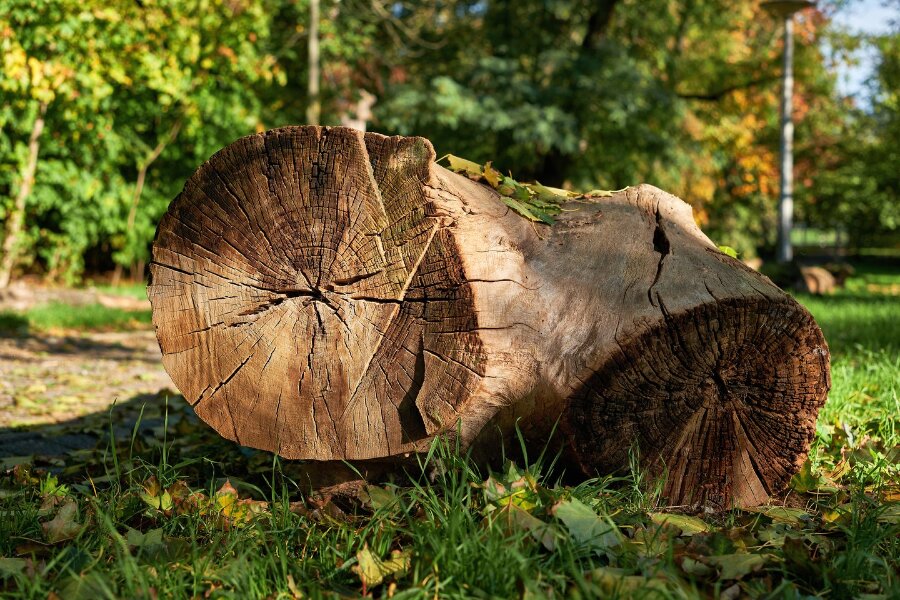 2023-10-25  FUJIFILM 1.4_33 mm_DSF0035_2.8.jpg