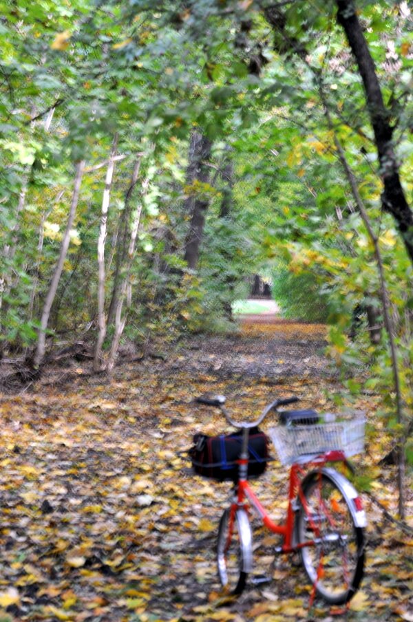 2023-10-31  LE-MIX  SIGMA_105_MACRODSC_4469.JPG