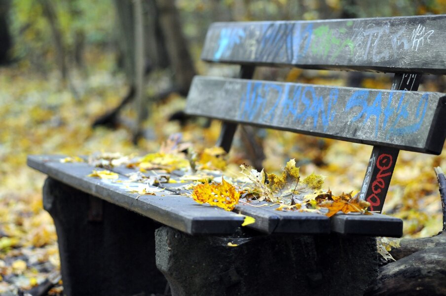 2023-10-31  LE-MIX  SIGMA_105_MACRODSC_4484.JPG