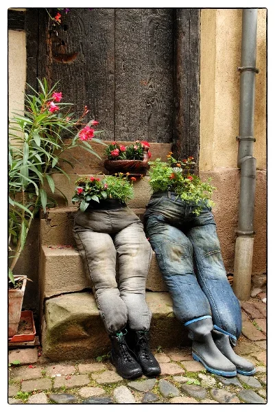 Elsass.webp
