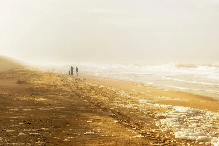 _REG5805 1.webp