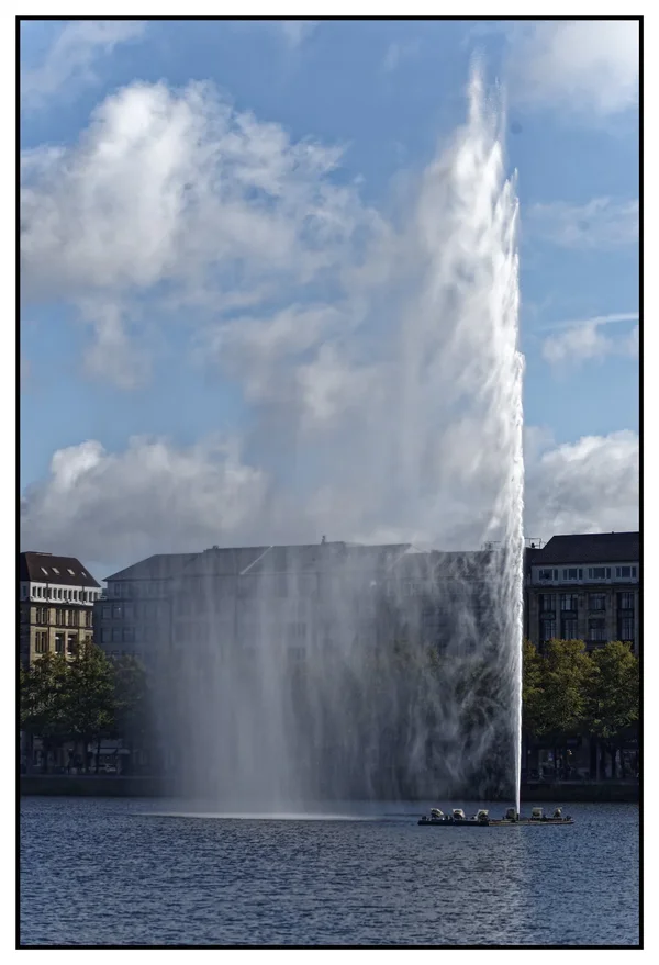 _IMG5901_DxO.webp _IMG5901_DxO.webp