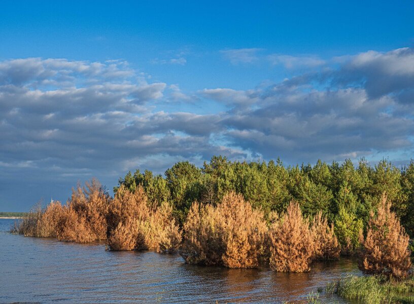 Sedlitz 2021-1200-Bearbeitet.jpg