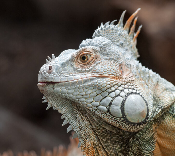 Zoo Duisburg 26.09.09_0043.jpg Zoo Duisburg 26.09.09_0043.jpg