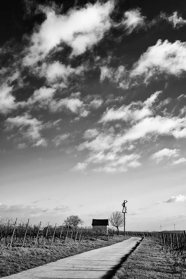 ci_A7408634_sep.webp