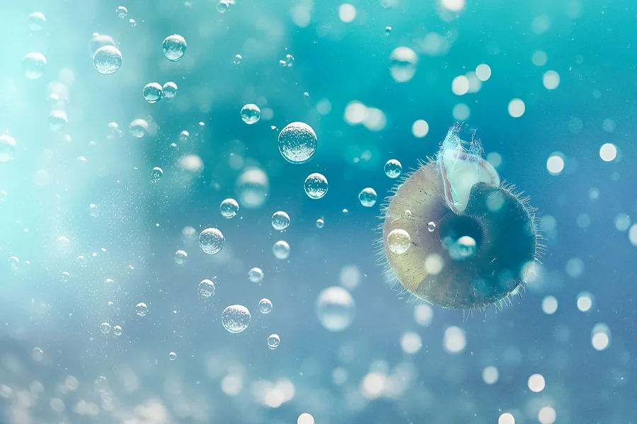 ocean 1.webp