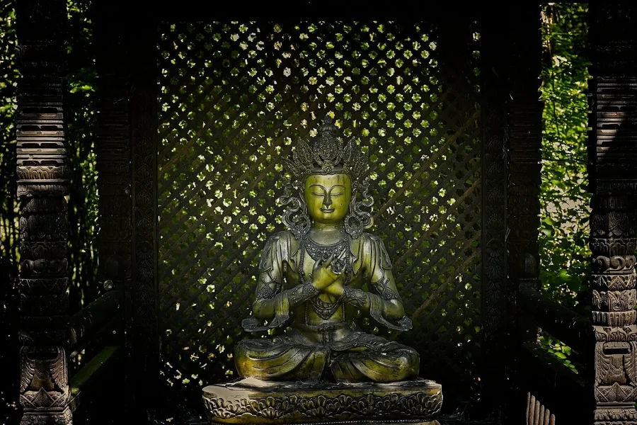 zen01.webp zen01.webp