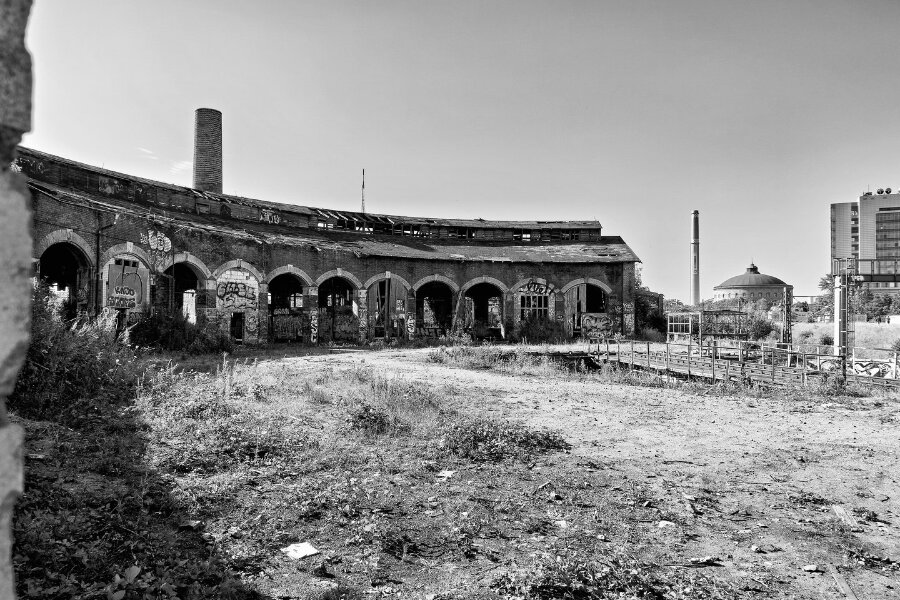 2023-07-18  SONY ZV-1  TEST  LOKSCHUPPEN_DSC0507_Radiant.jpg