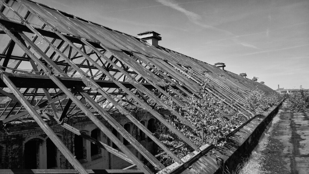 2022-08-06 CHEMNITZ FUJI X-E2S_SW_8290797.jpg 2022-08-06 CHEMNITZ FUJI X-E2S_SW_8290797.jpg