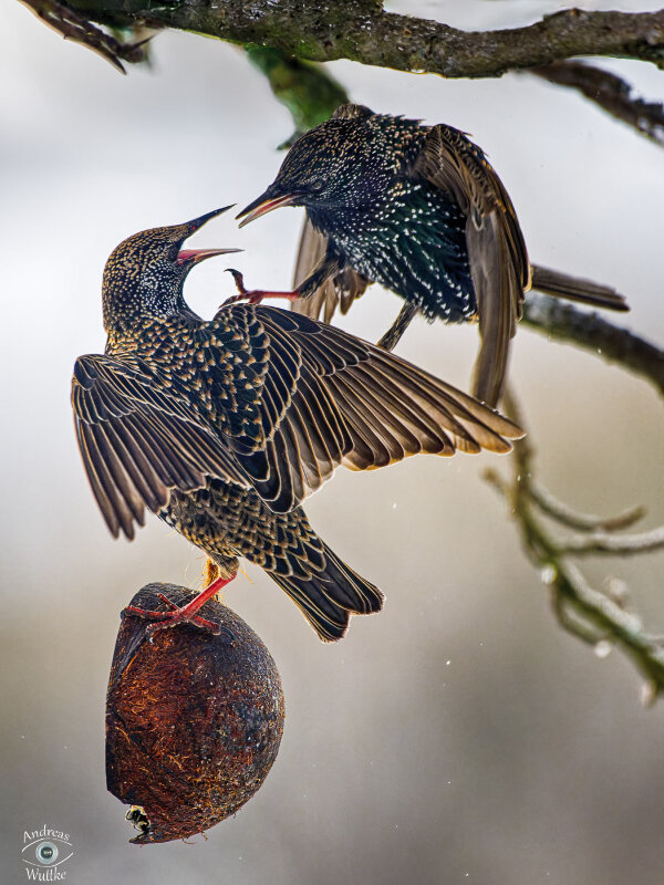 AZ7_5314_DxO-Bearbeitet_LR.jpg