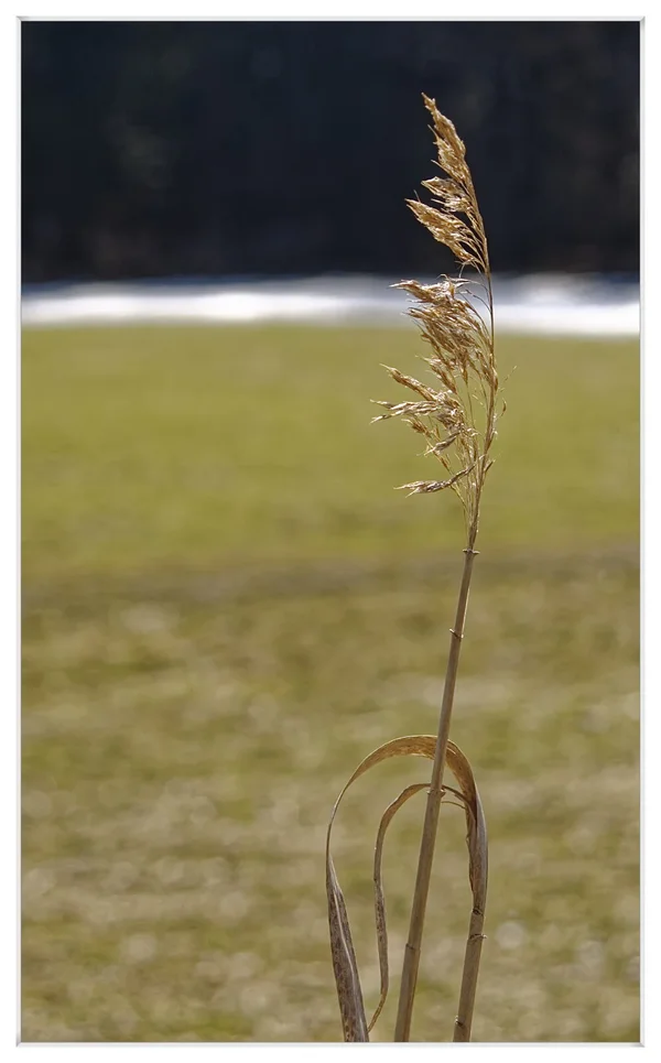 _IGP3249_DxO.webp