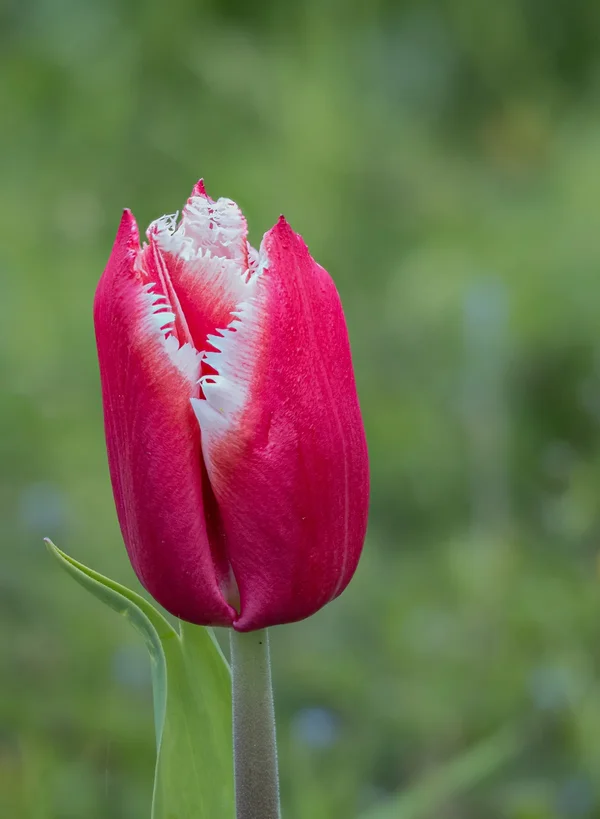 Februar 2024.webp