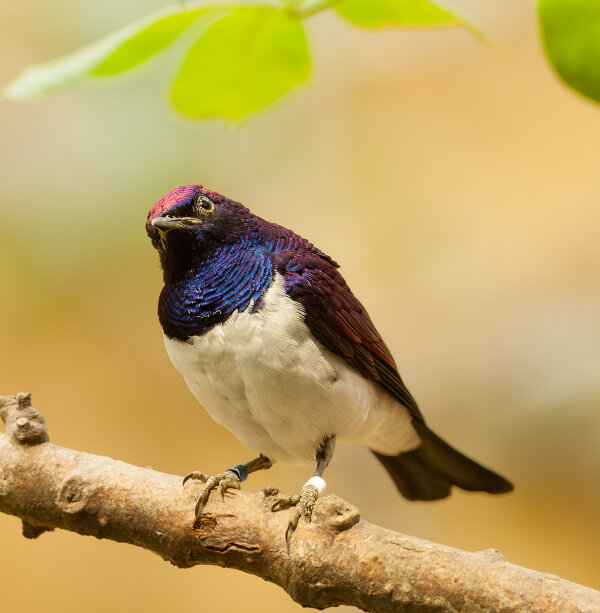 Krefeld 13.09.08_0068-Verbessert-RR-Bearbeitet.jpg