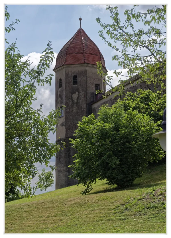 _IMG5519_DxO.webp
