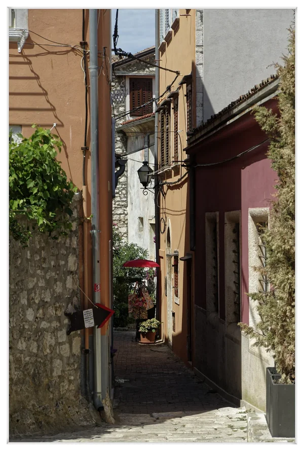_IGP5979_DxO.webp