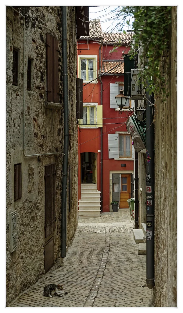 _IGP6015_DxO.webp
