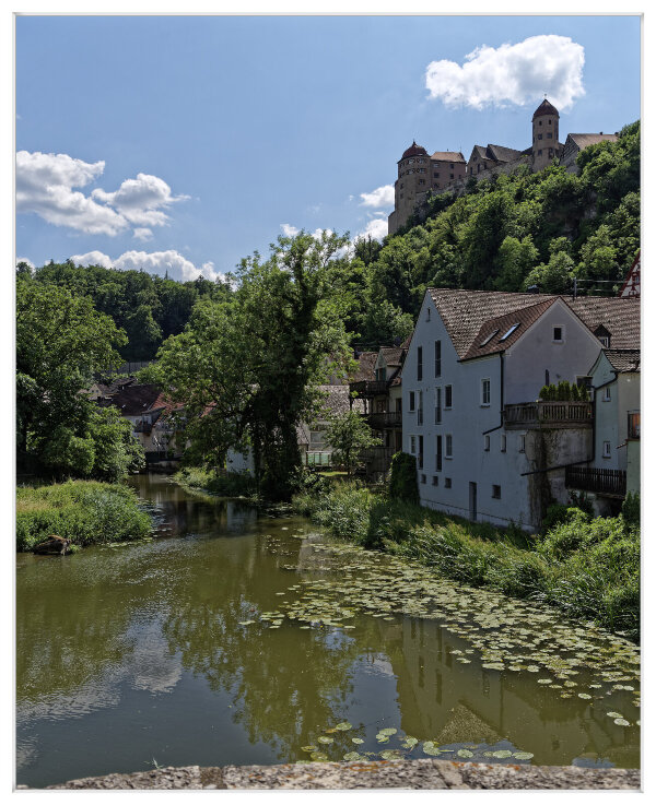 _IMG5568_DxO.jpg _IMG5568_DxO.jpg