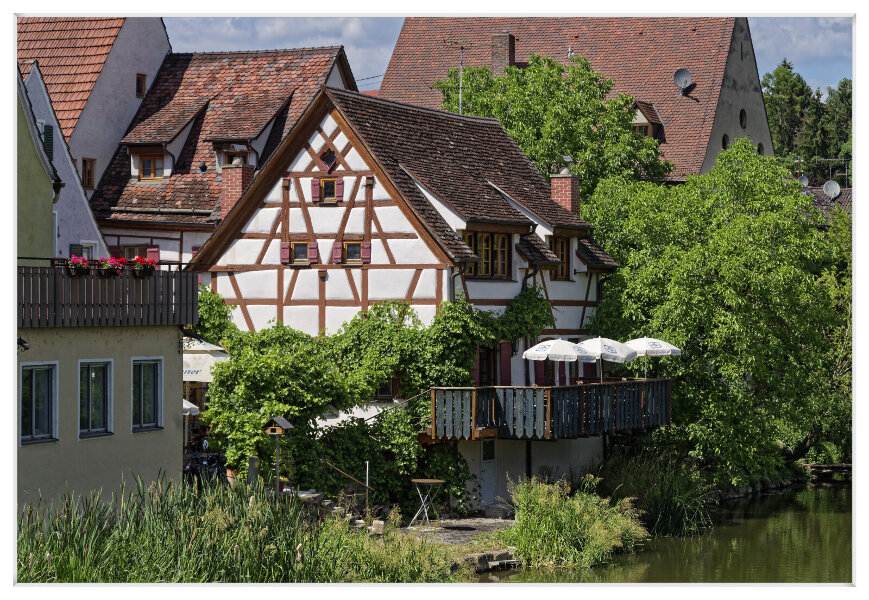 _IMG5571_DxO.jpg _IMG5571_DxO.jpg