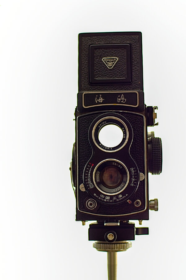 _DSF8386-WEB.jpg _DSF8386-WEB.jpg