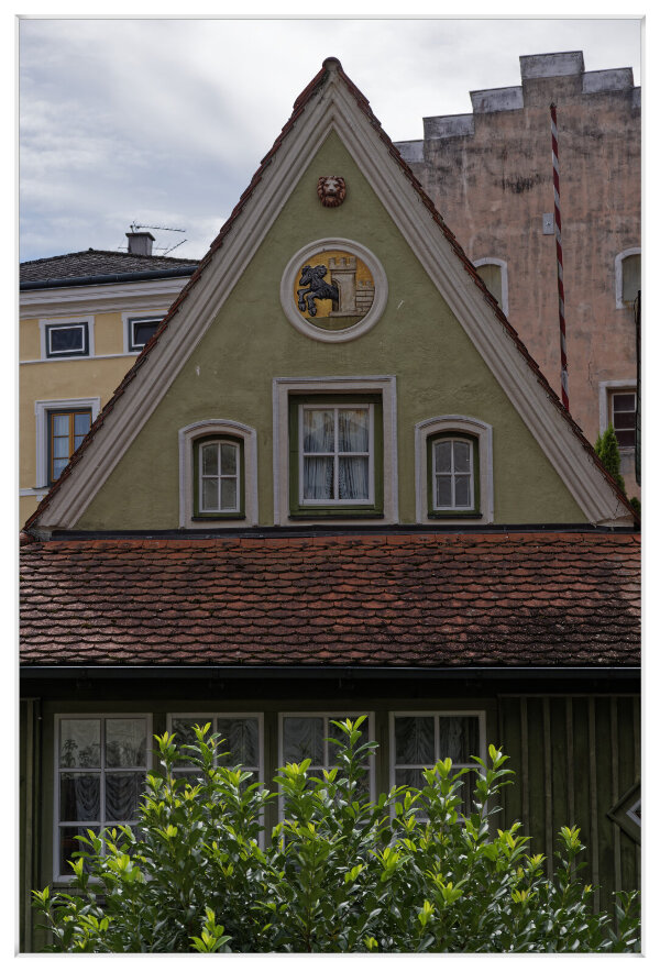 _IMG4518_DxO.jpg _IMG4518_DxO.jpg