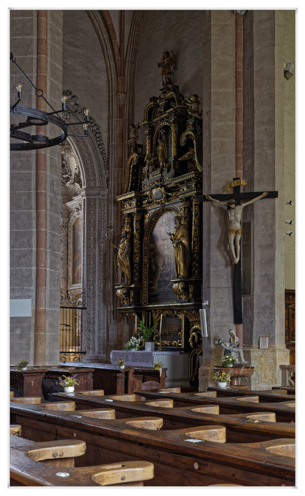 _IMG4537_DxO.jpg _IMG4537_DxO.jpg