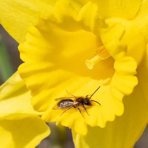 ci_A7400127.webp