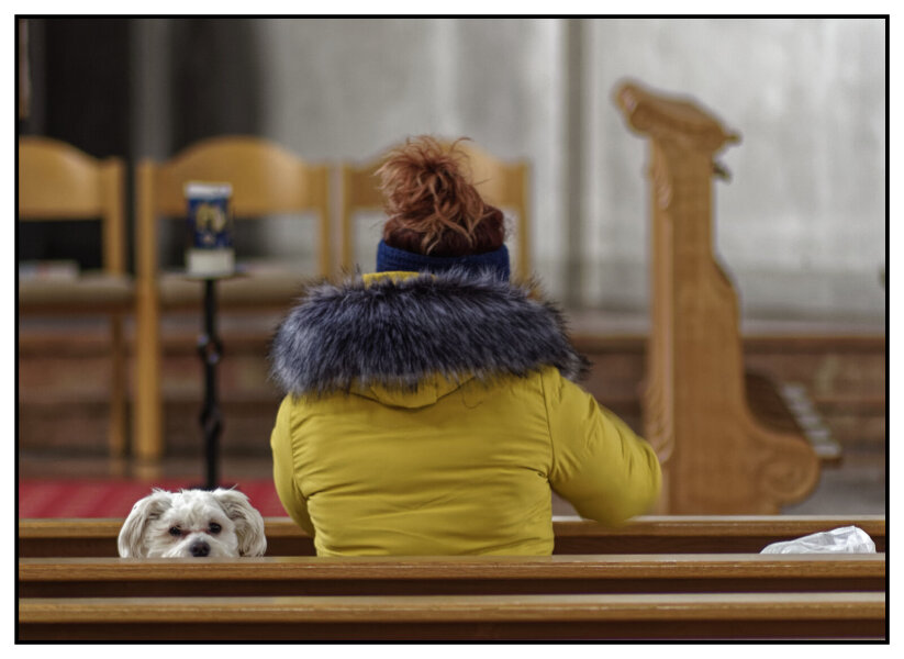 _IMG1876_DxO.jpg _IMG1876_DxO.jpg