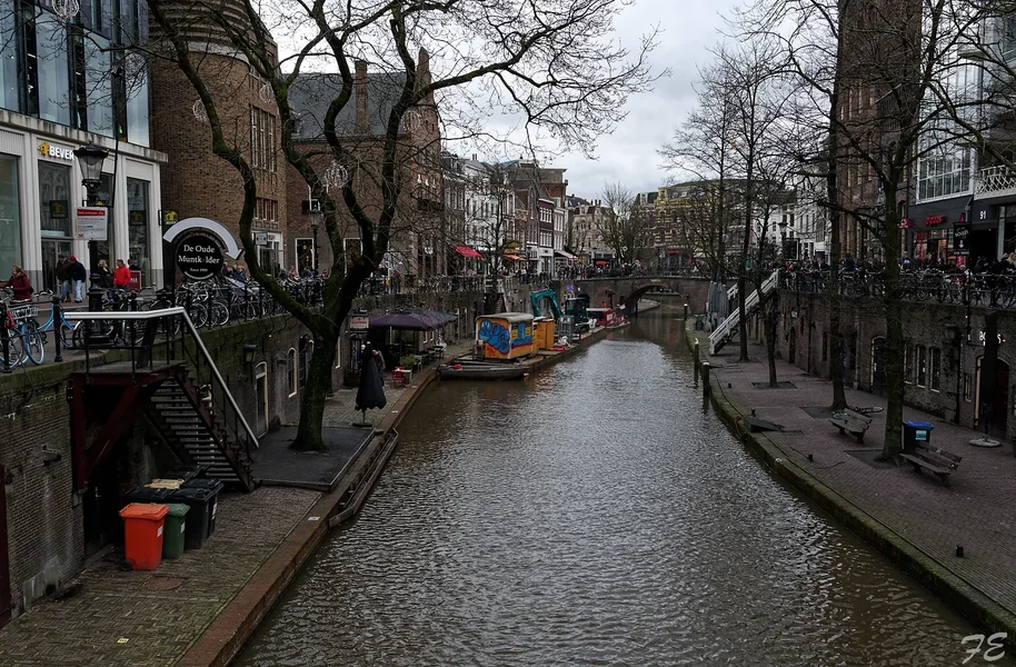 IMGP3752_DxO.jpg