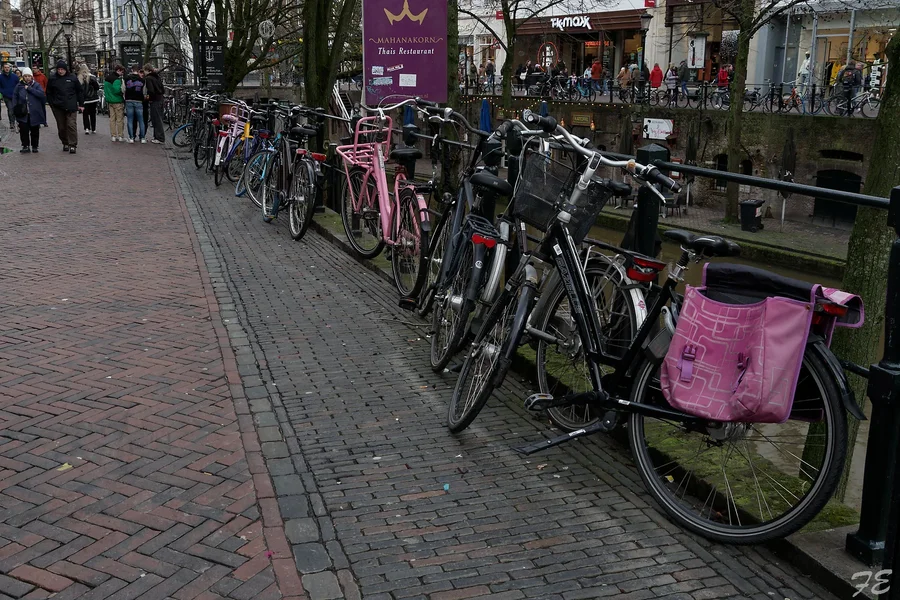 IMGP3755_DxO.jpg