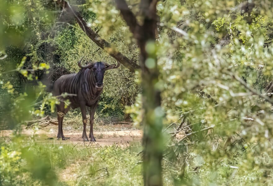 P1240001-Bearbeitet.jpg P1240001-Bearbeitet.jpg