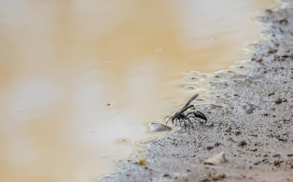 P1240004-Bearbeitet.jpg P1240004-Bearbeitet.jpg