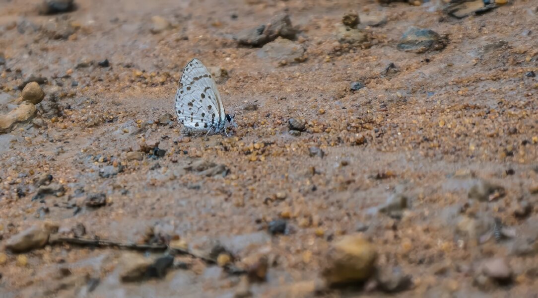 P1240013-Bearbeitet.jpg P1240013-Bearbeitet.jpg