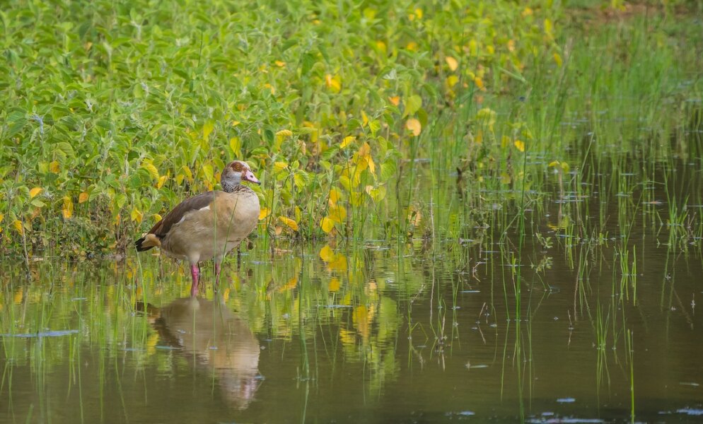 P1240030-Bearbeitet.jpg P1240030-Bearbeitet.jpg