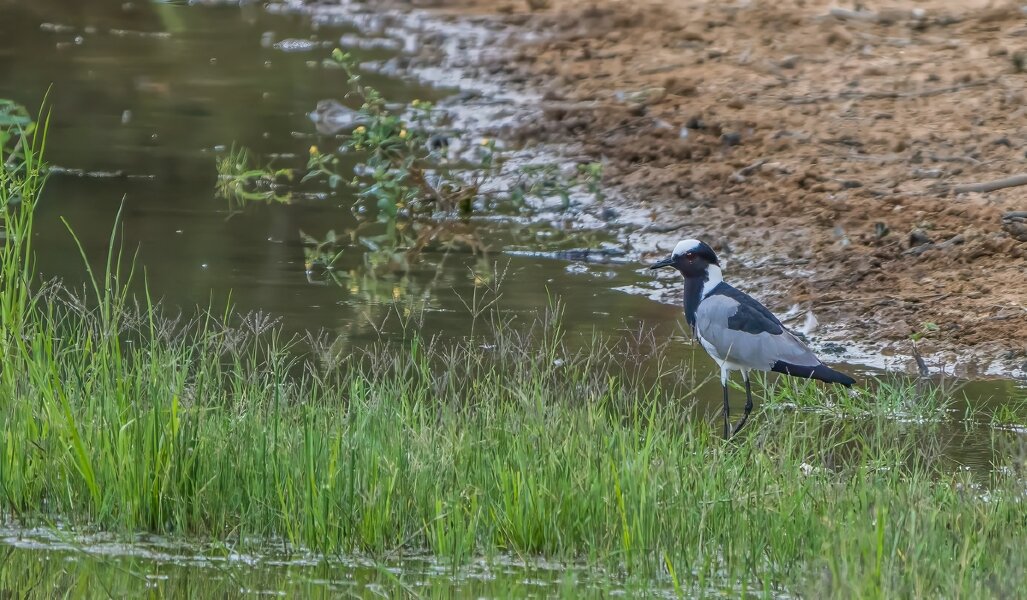 P1240059-Bearbeitet.jpg P1240059-Bearbeitet.jpg