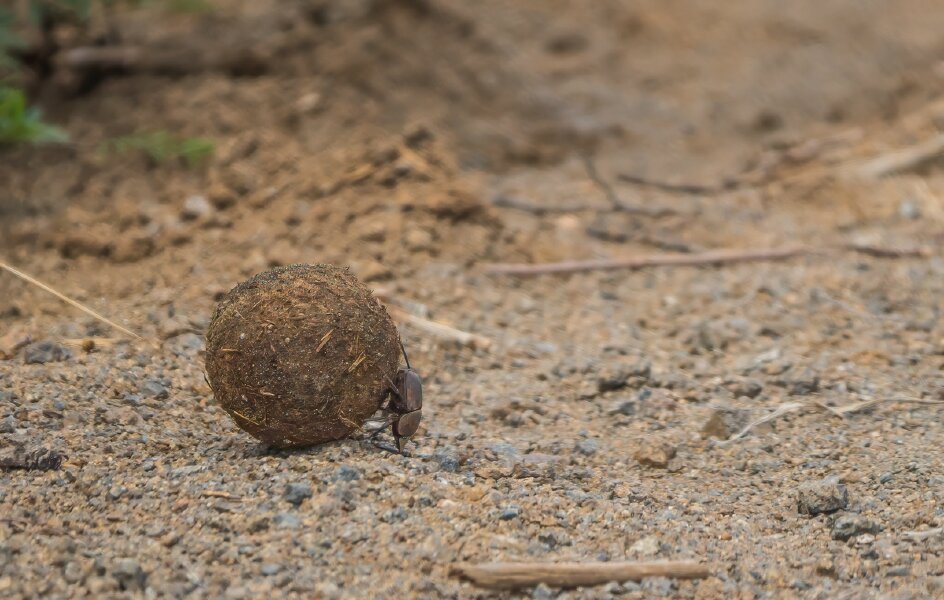 P1240092-Bearbeitet.jpg P1240092-Bearbeitet.jpg